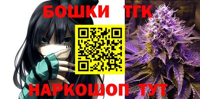 стафф Заводоуковск